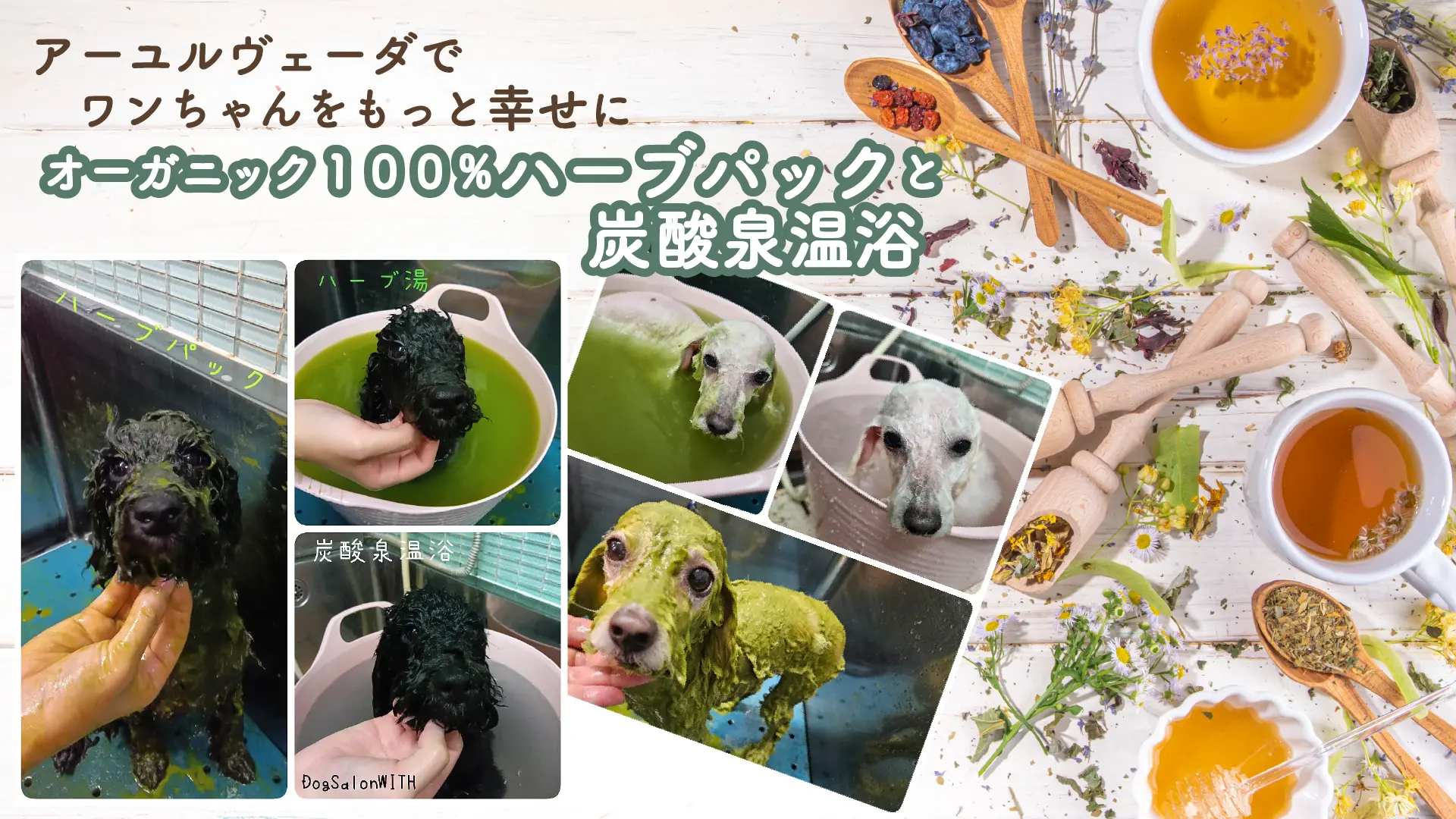 オーガニック100%ハーブパックと炭酸泉温浴