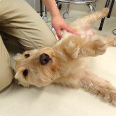 営業時間内ならチェックイン・チェックアウトの時間が自由