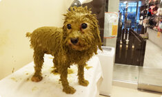 オーガニックハーブパック 01 ストレス軽減&トラブル予防