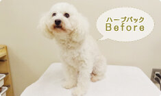 オーガニックハーブパック 02 獣医さんオススメ