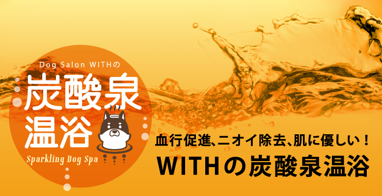 炭酸泉温浴のイメージ