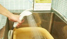 炭酸泉温浴のメリット 02 新陳代謝UP